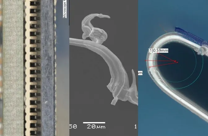 discovery during component authentication
